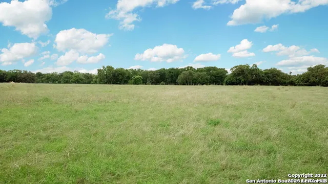 a view of a forest with a houses
