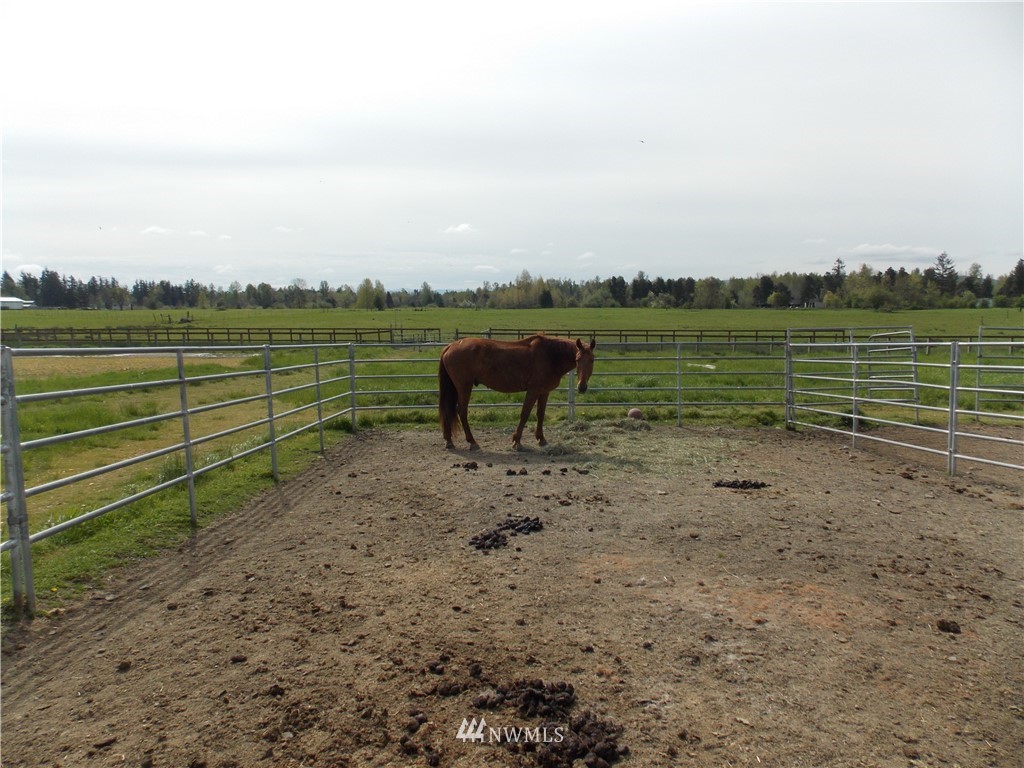 13102 Vail Road Southeast Yelm, WA 98597 - Photo 23 of 25 Gallery Image 23
