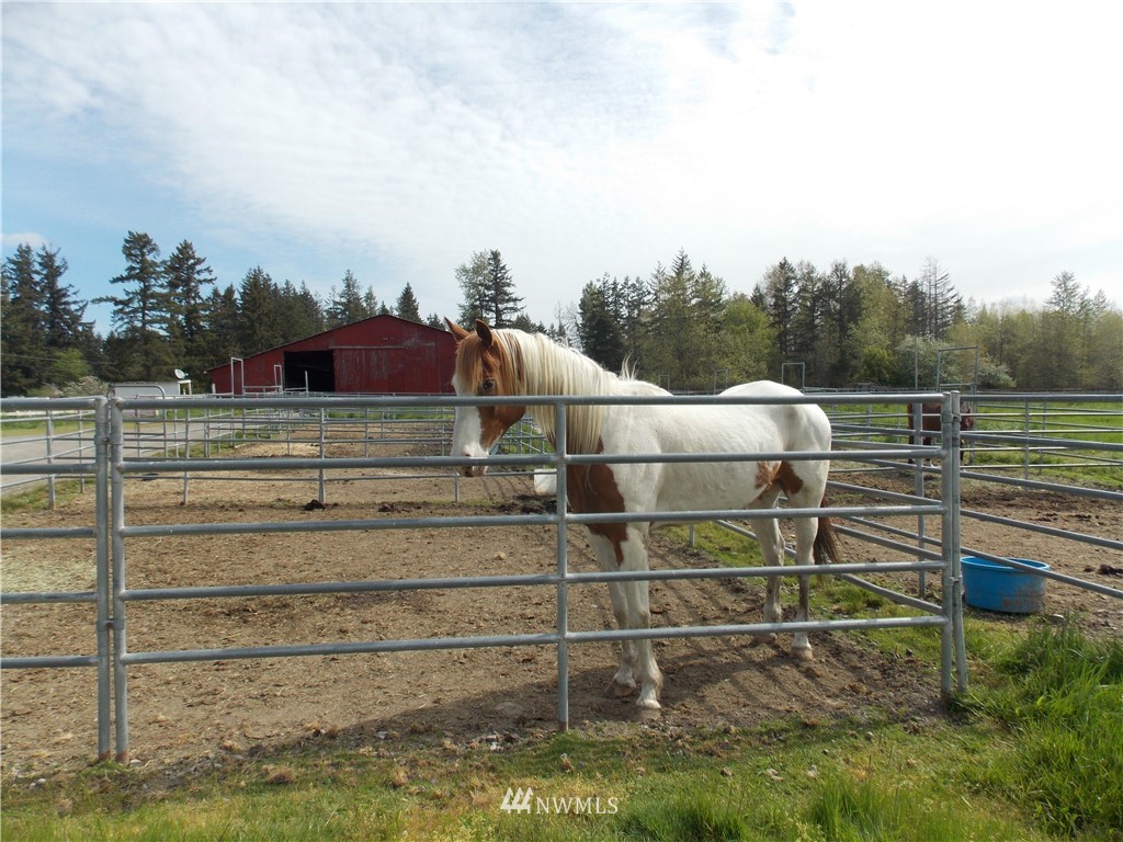 13102 Vail Road Southeast Yelm, WA 98597 - Photo 24 of 25 Gallery Image 24