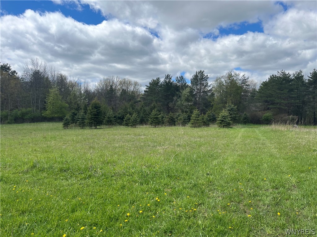 9832 Francis Road Batavia, NY 14020 - Photo 48 of 49