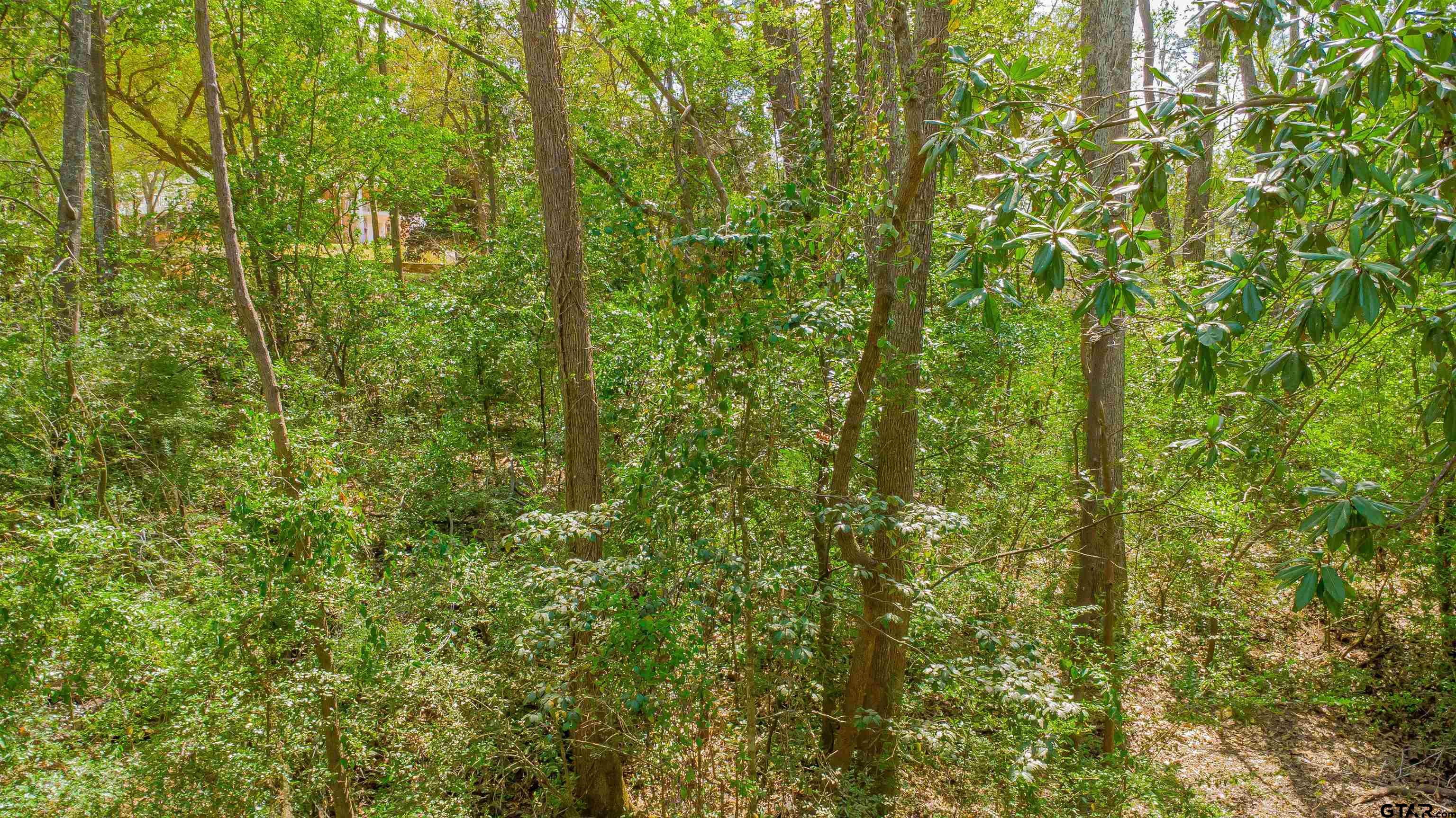 2864 South Robertson Avenue Tyler, TX 75701 - Photo 11 of 39 a view of a lush green forest