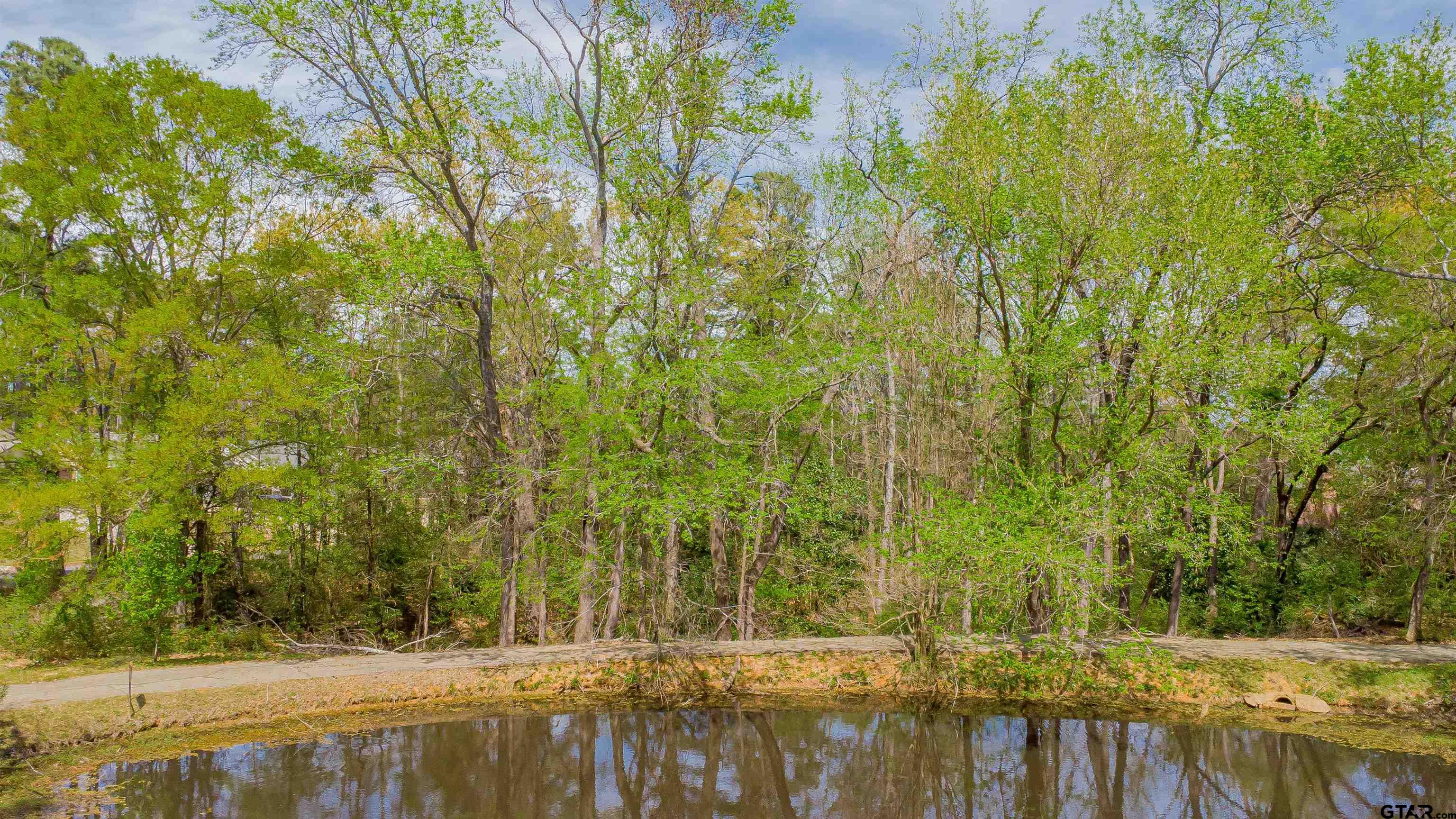 2864 South Robertson Avenue Tyler, TX 75701 - Photo 2 of 39 a view of swimming pool and mountain view