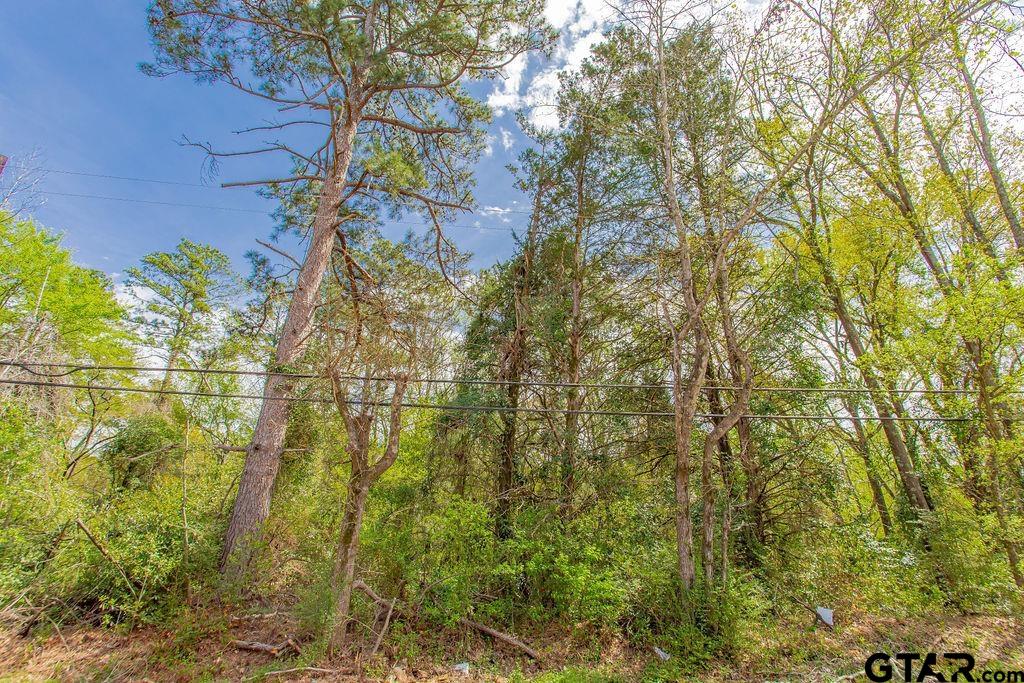 2864 South Robertson Avenue Tyler, TX 75701 - Photo 32 of 39 a view of a yard with plants and tree