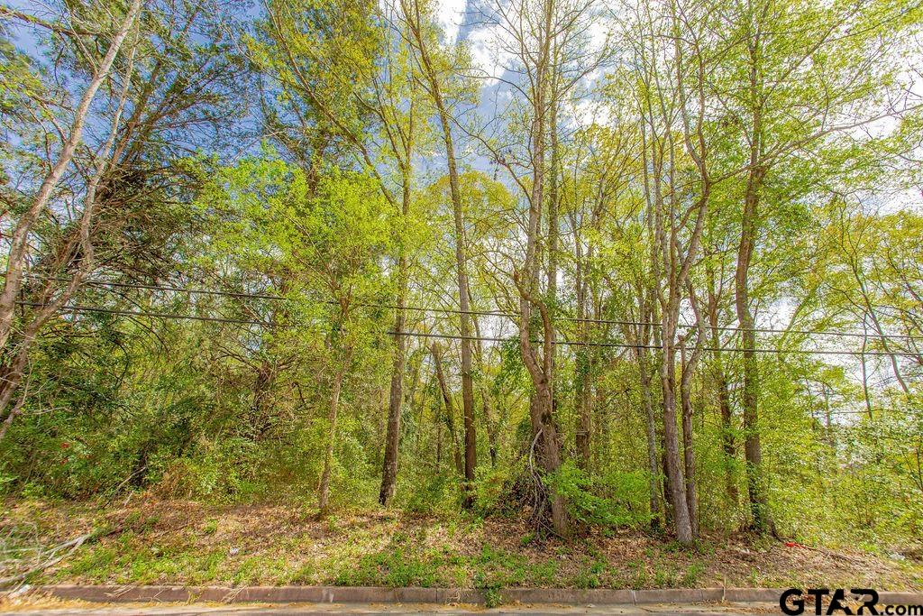 2864 South Robertson Avenue Tyler, TX 75701 - Photo 33 of 39 a view of a yard