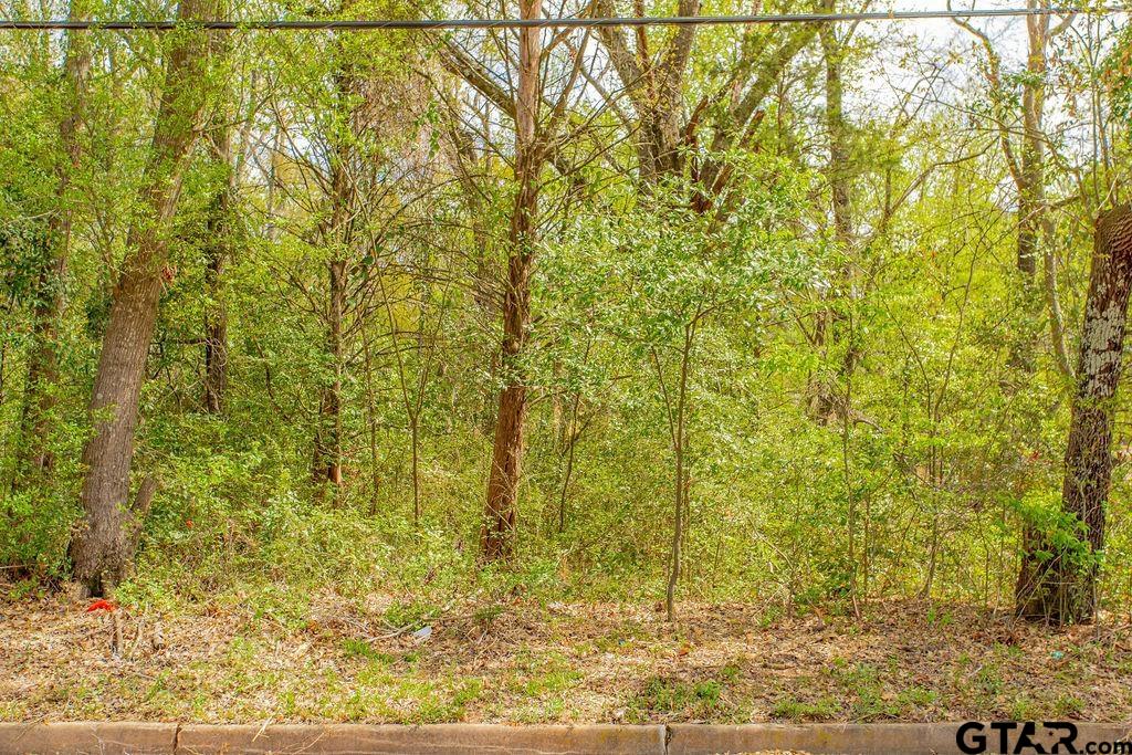 2864 South Robertson Avenue Tyler, TX 75701 - Photo 34 of 39