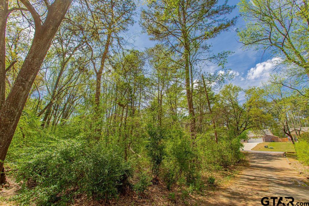 2864 South Robertson Avenue Tyler, TX 75701 - Photo 36 of 39 a view of a yard