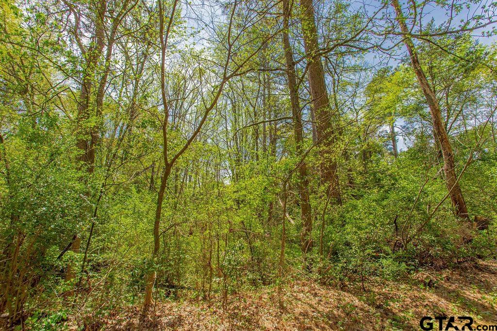 2864 South Robertson Avenue Tyler, TX 75701 - Photo 37 of 39 a view of a yard with plants and tree