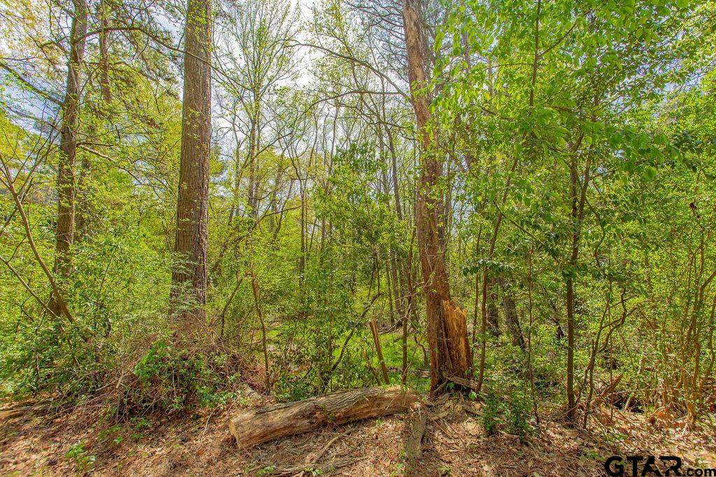 2864 South Robertson Avenue Tyler, TX 75701 - Photo 38 of 39 a view of a yard