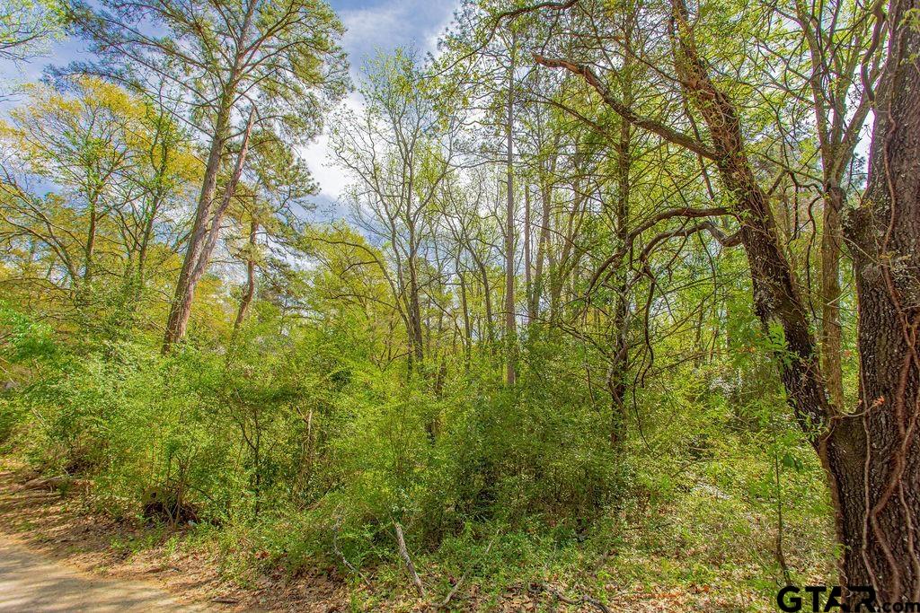 2864 South Robertson Avenue Tyler, TX 75701 - Photo 39 of 39