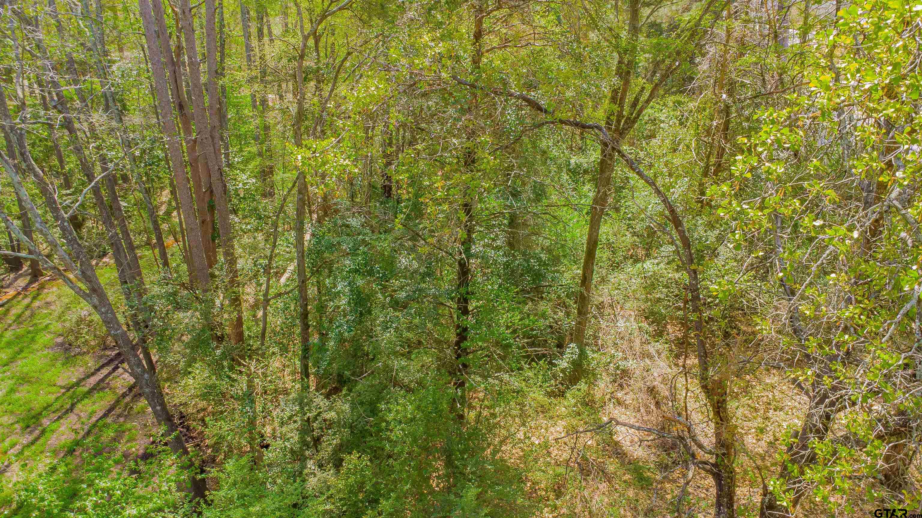 2864 South Robertson Avenue Tyler, TX 75701 - Photo 5 of 39 a view of a yard with a plants of water and trees