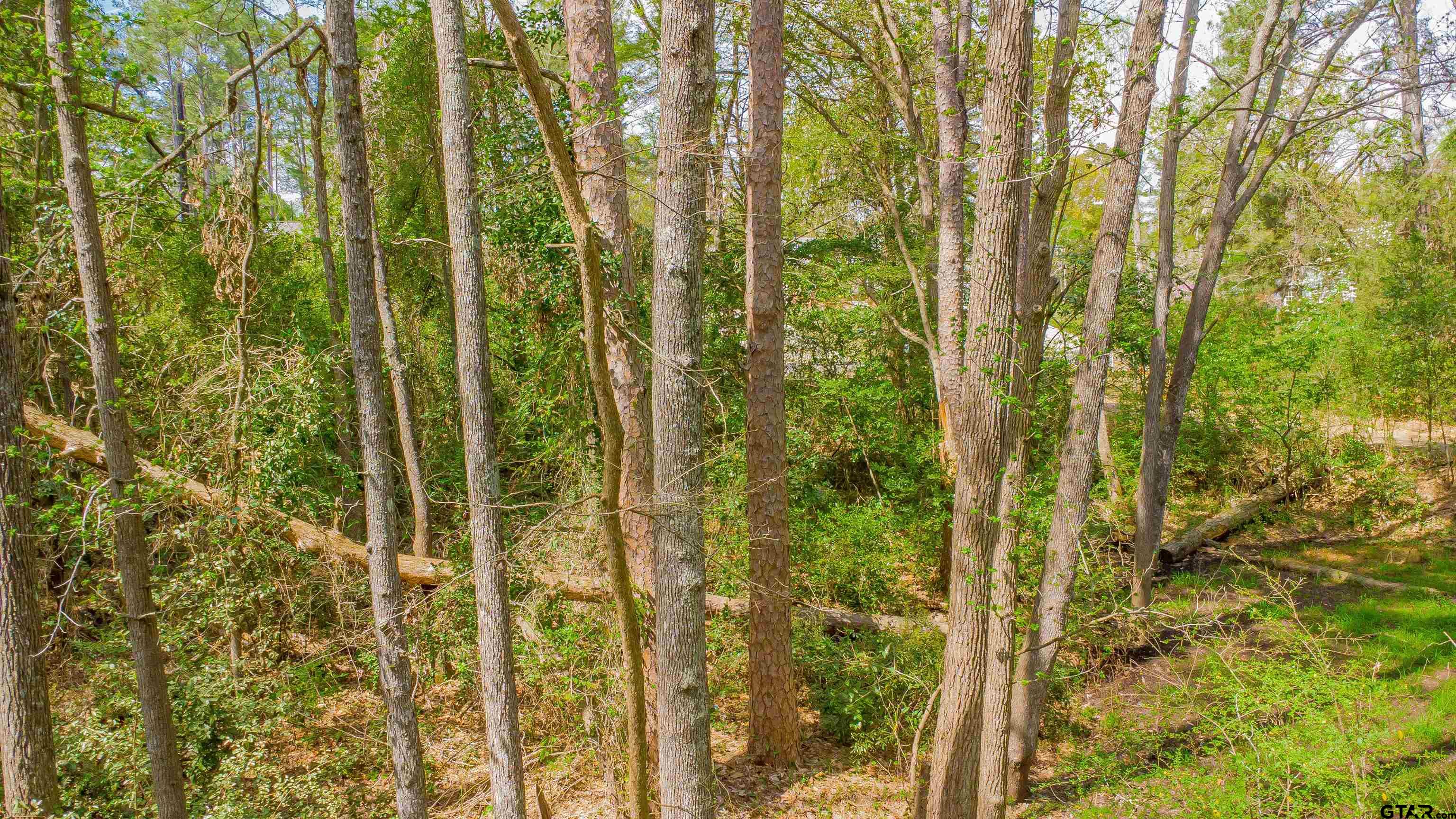 2864 South Robertson Avenue Tyler, TX 75701 - Photo 7 of 39 a close view of a shower in a forest