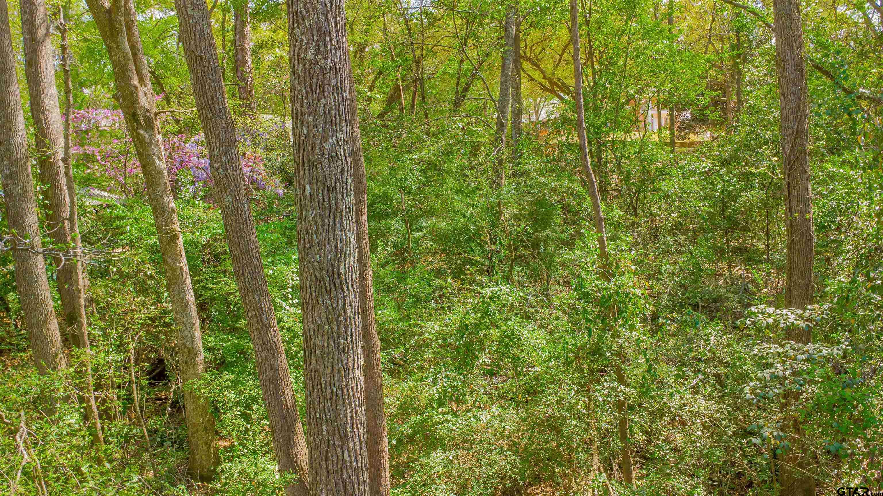 2864 South Robertson Avenue Tyler, TX 75701 - Photo 10 of 39