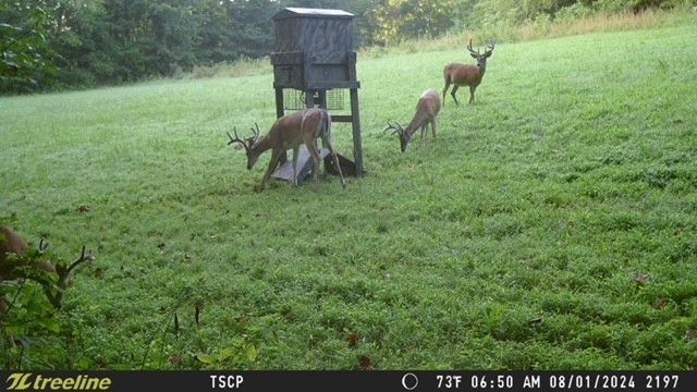 1630 Johnson Branch Road Pulaski, TN 38478 - Photo 39 of 43