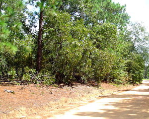 2 Gunter Road Aiken, SC 29803 - Photo 1 of 1