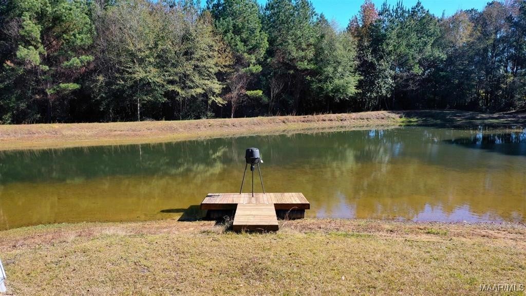 3449 Blackmon Road Brantley, AL 36009 - Photo 23 of 30 Gallery Image 23
