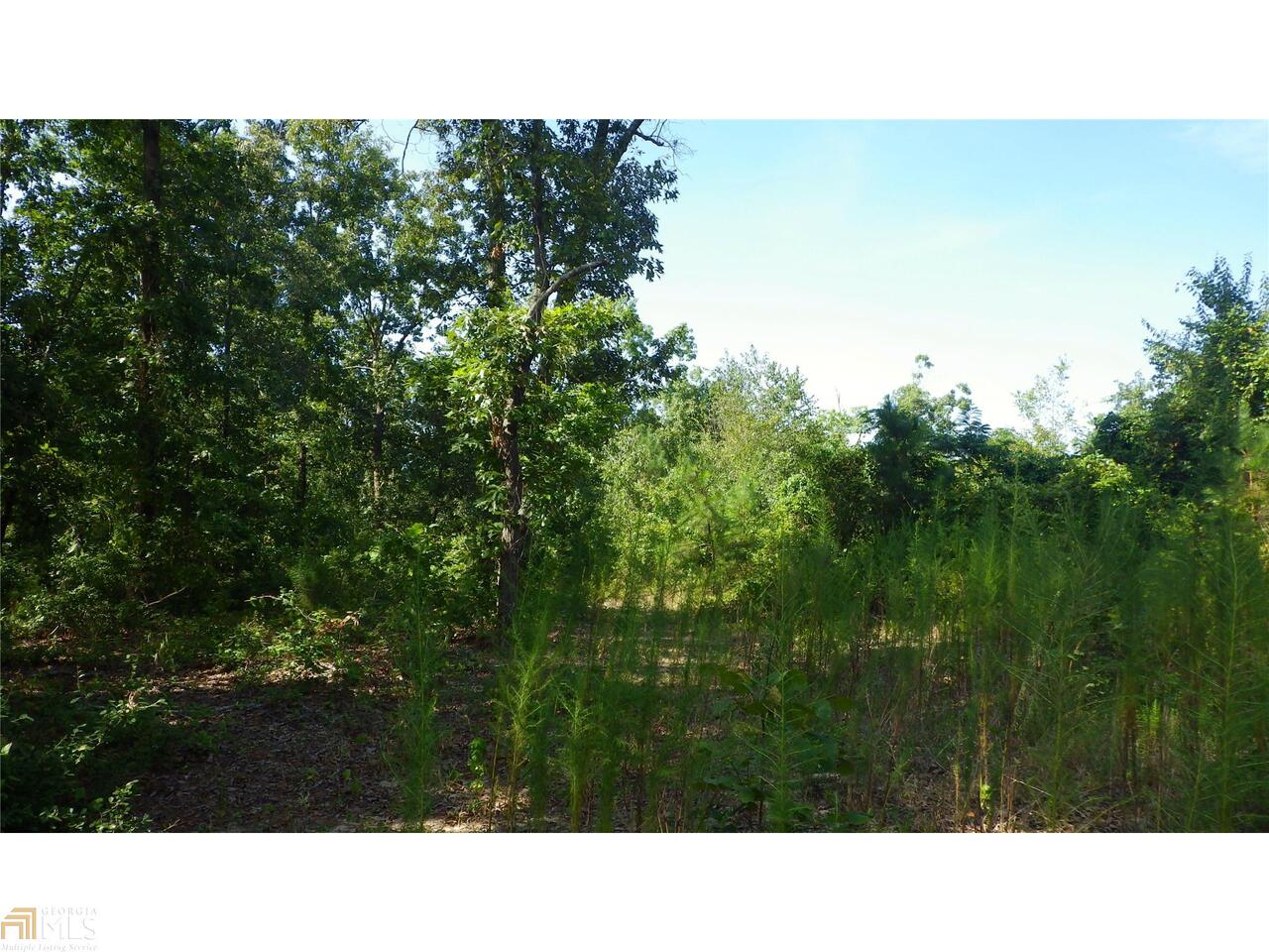 0 Giles Road Byron, GA 31008 - Photo 1 of 1 Gallery Image 1