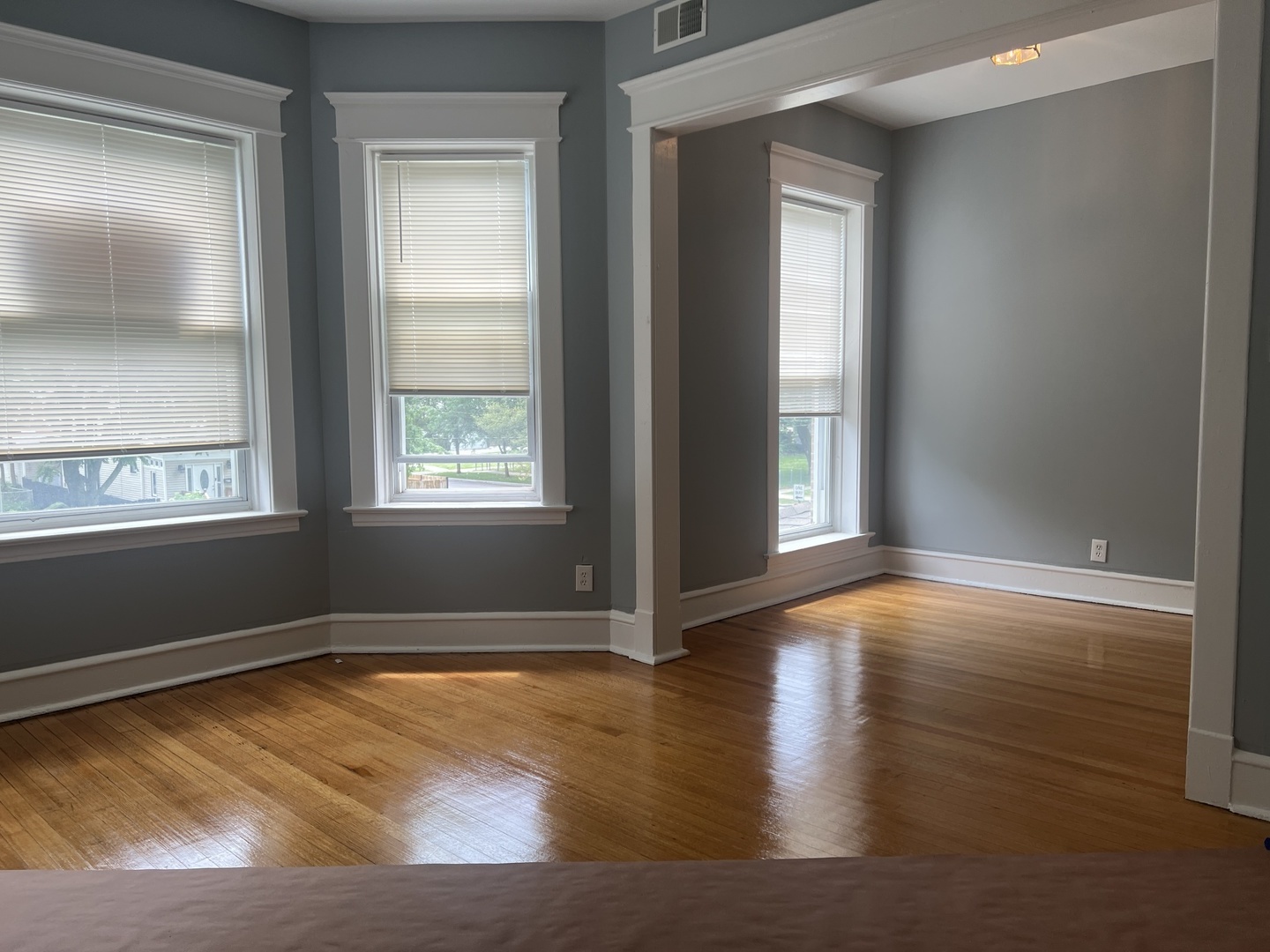 208 North Waller Avenue, Unit 2N Chicago, IL 60644 - Photo 9 of 10 an empty room with wooden floor and windows