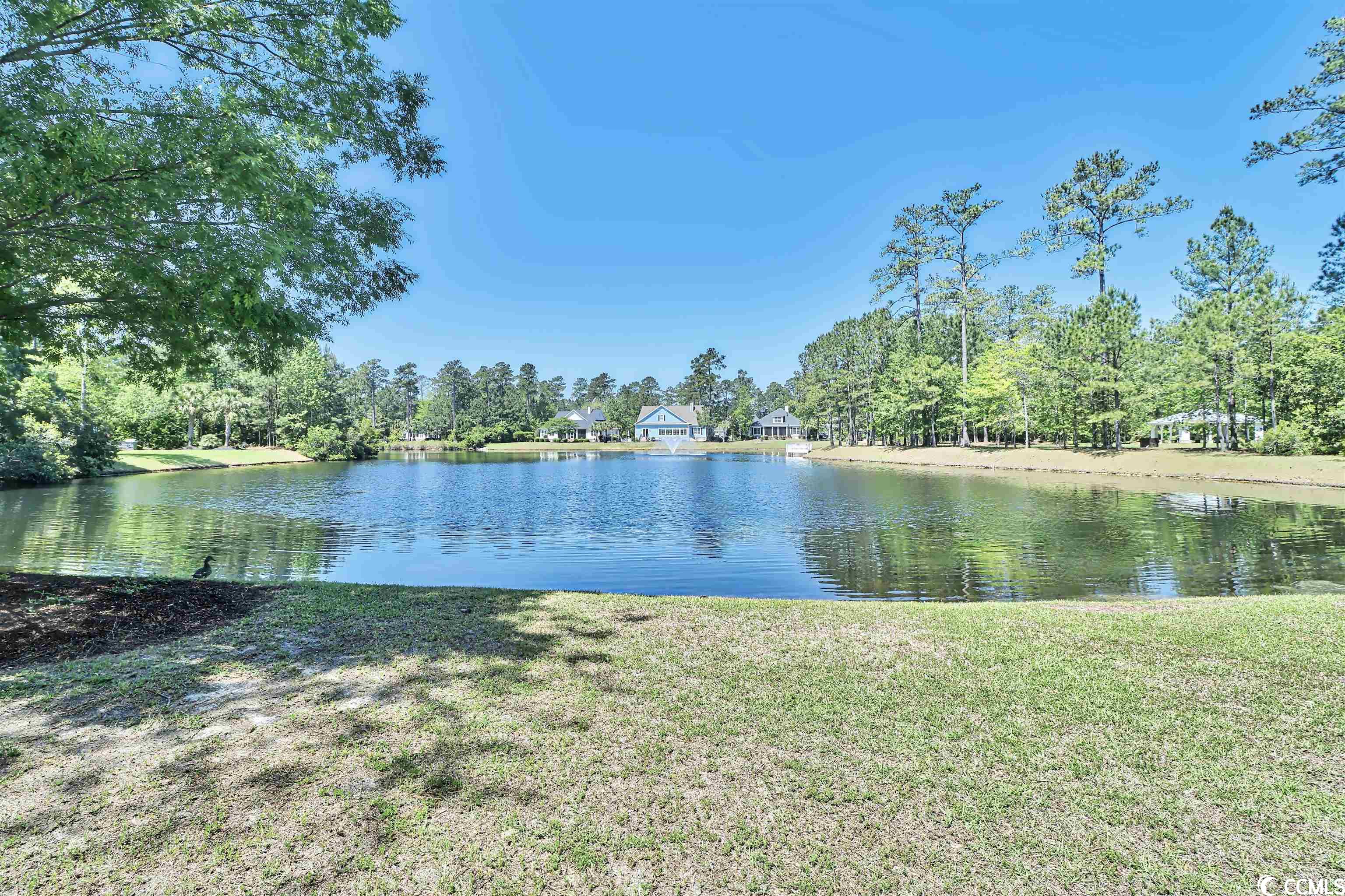 175 Low Country Loop Murrells Inlet, SC 29576 - Photo 34 of 40