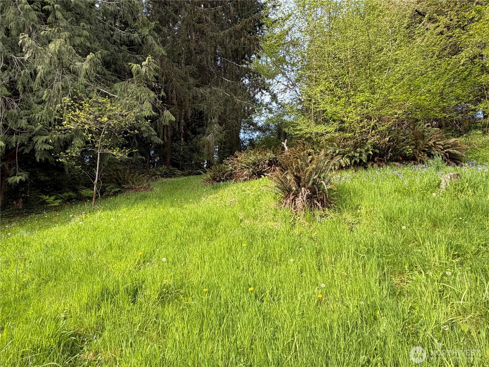 2833 Wishkah Road Aberdeen, WA 98520 - Photo 18 of 18