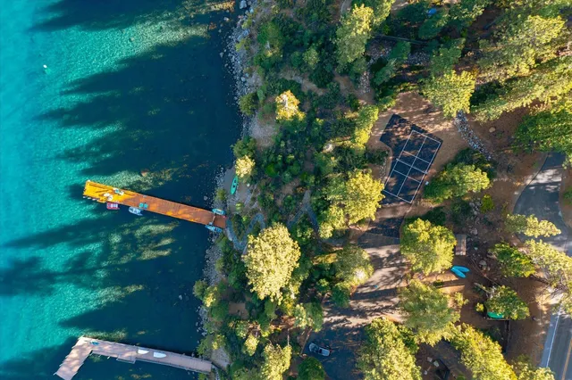 a picture of flowers