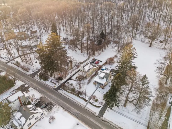 a view of a forest with trees