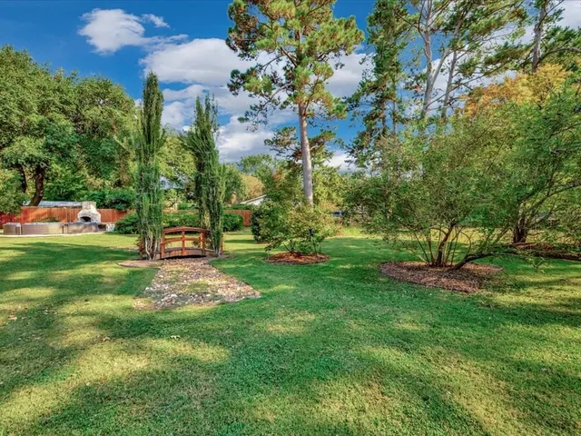 a view of a park with large trees
