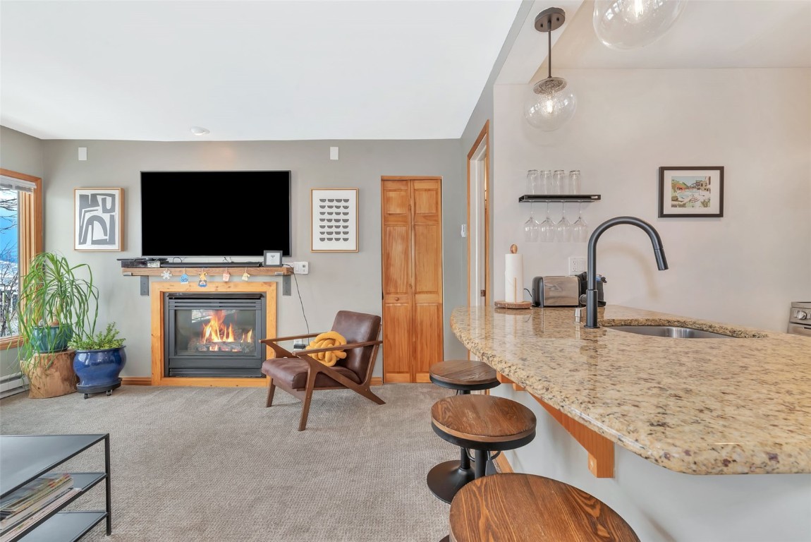 1800 Burgess Creek Road, Unit 205 Steamboat Springs, CO 80487 - Photo 14 of 37 a living room with furniture a fireplace and a flat screen tv
