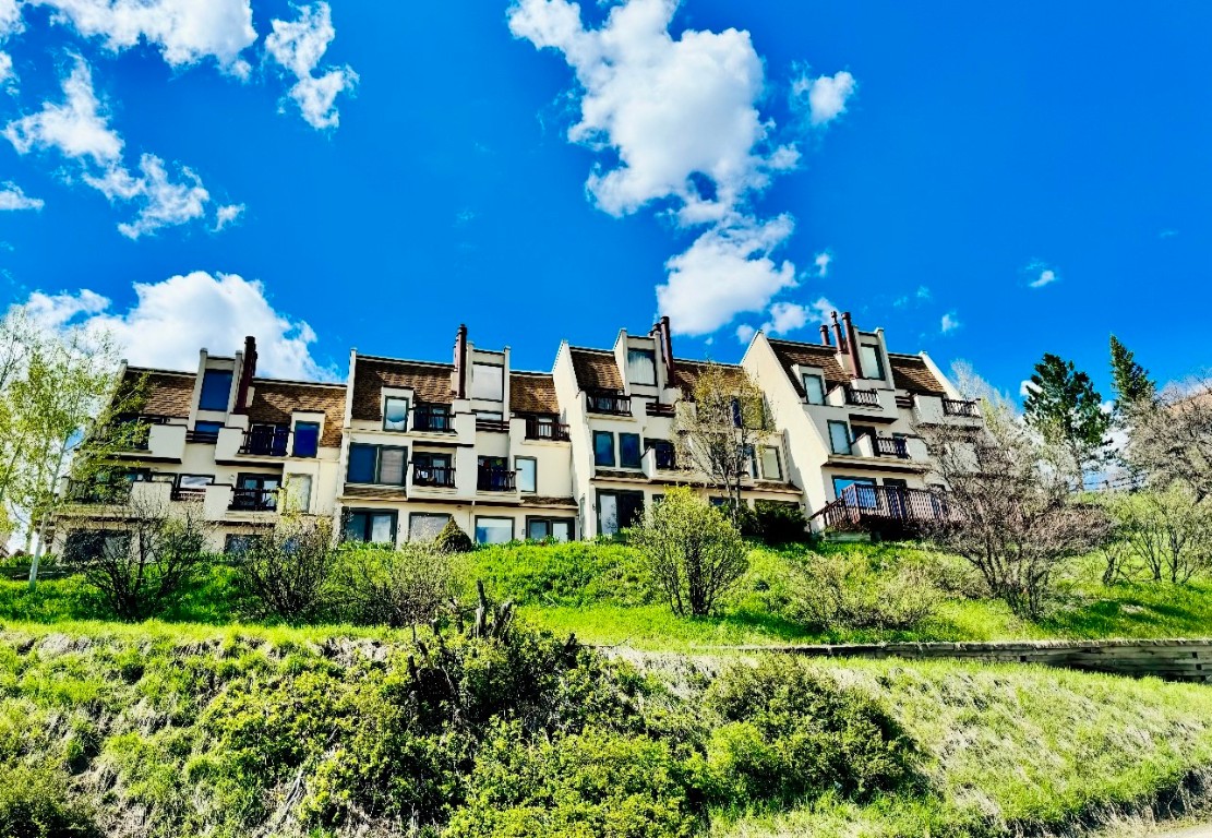 1800 Burgess Creek Road, Unit 205 Steamboat Springs, CO 80487 - Photo 35 of 37 a view of a house with a big yard plants and large trees