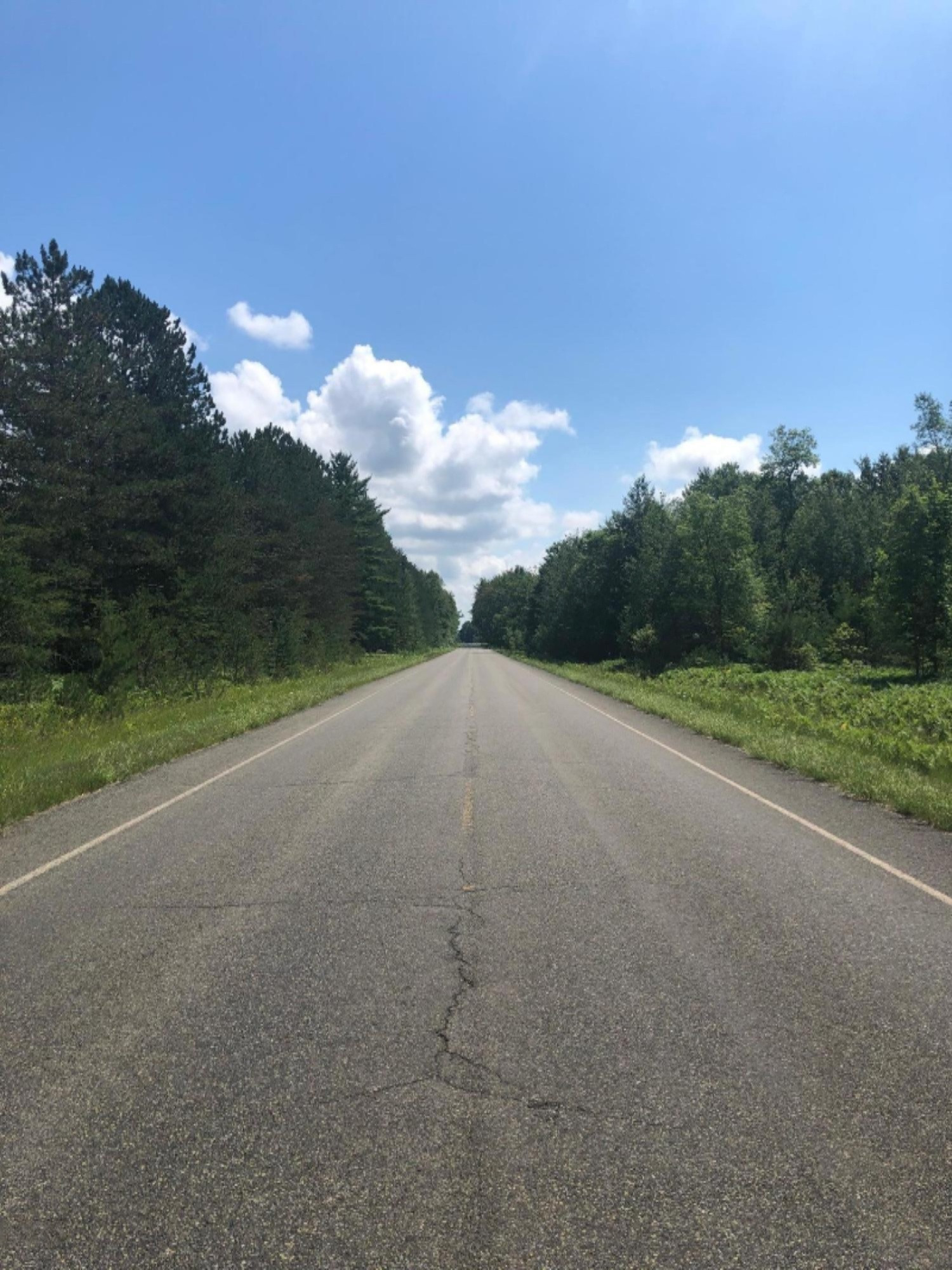 Healy Lake Road Kaleva, MI 49645 - Photo 16 of 18 IMG_5775
