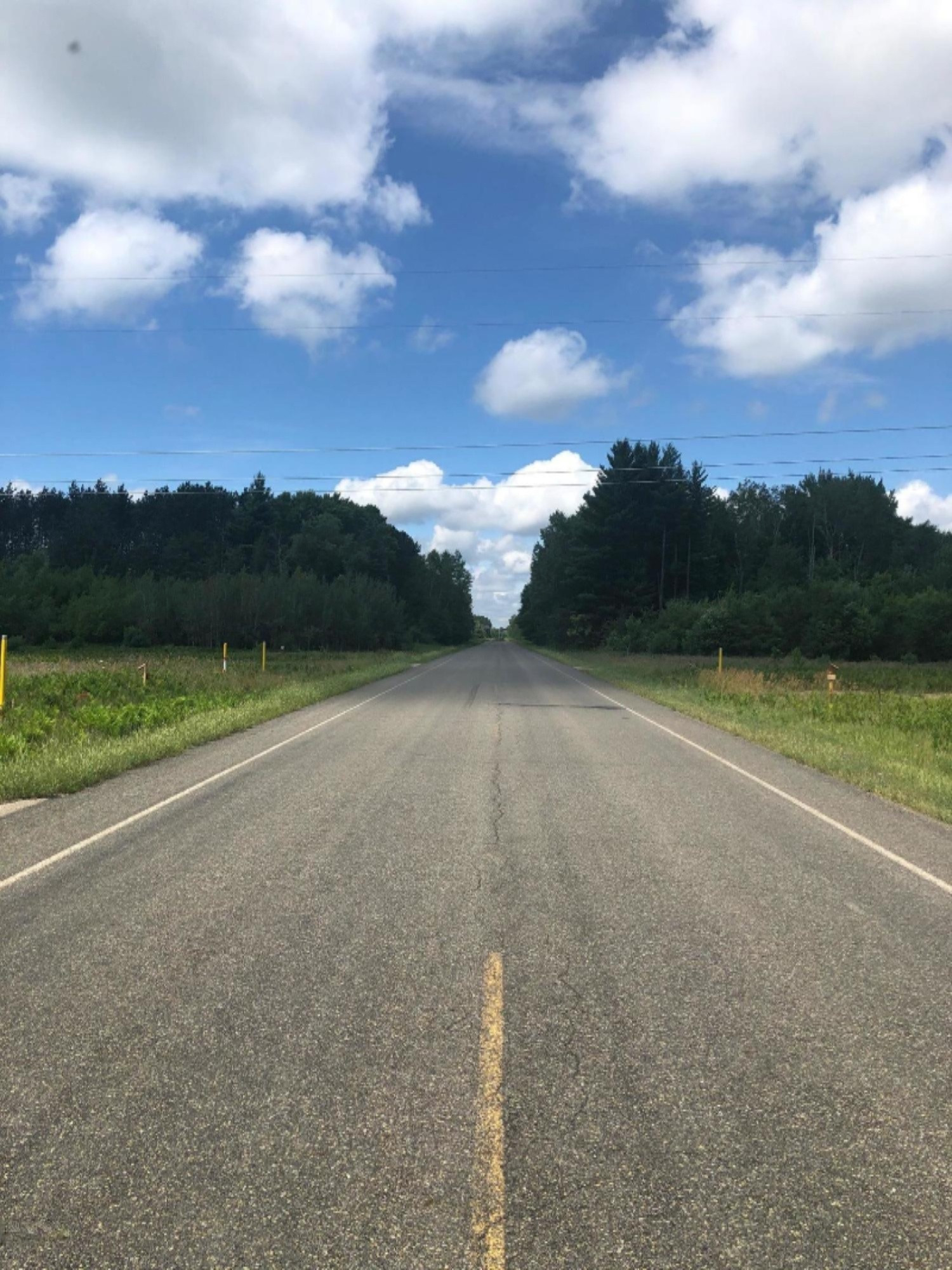 Healy Lake Road Kaleva, MI 49645 - Photo 17 of 18 IMG_5776