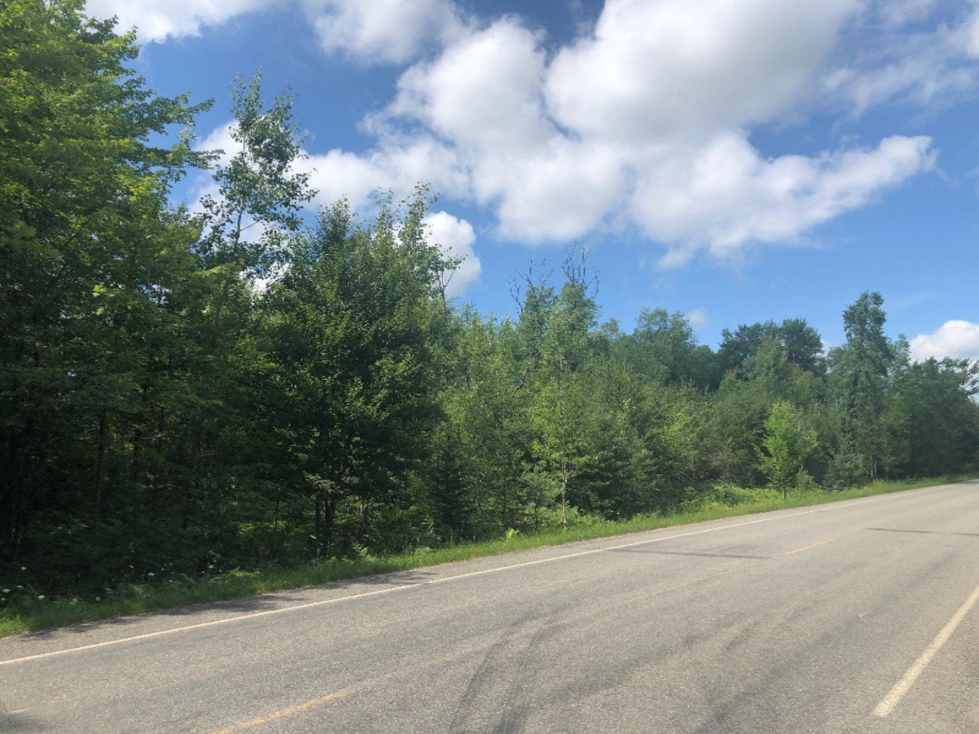 Healy Lake Road Kaleva, MI 49645 - Photo 18 of 18 IMG_5777