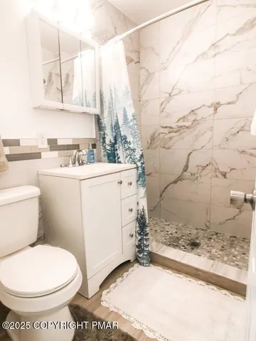 a bathroom with a sink a toilet and vanity