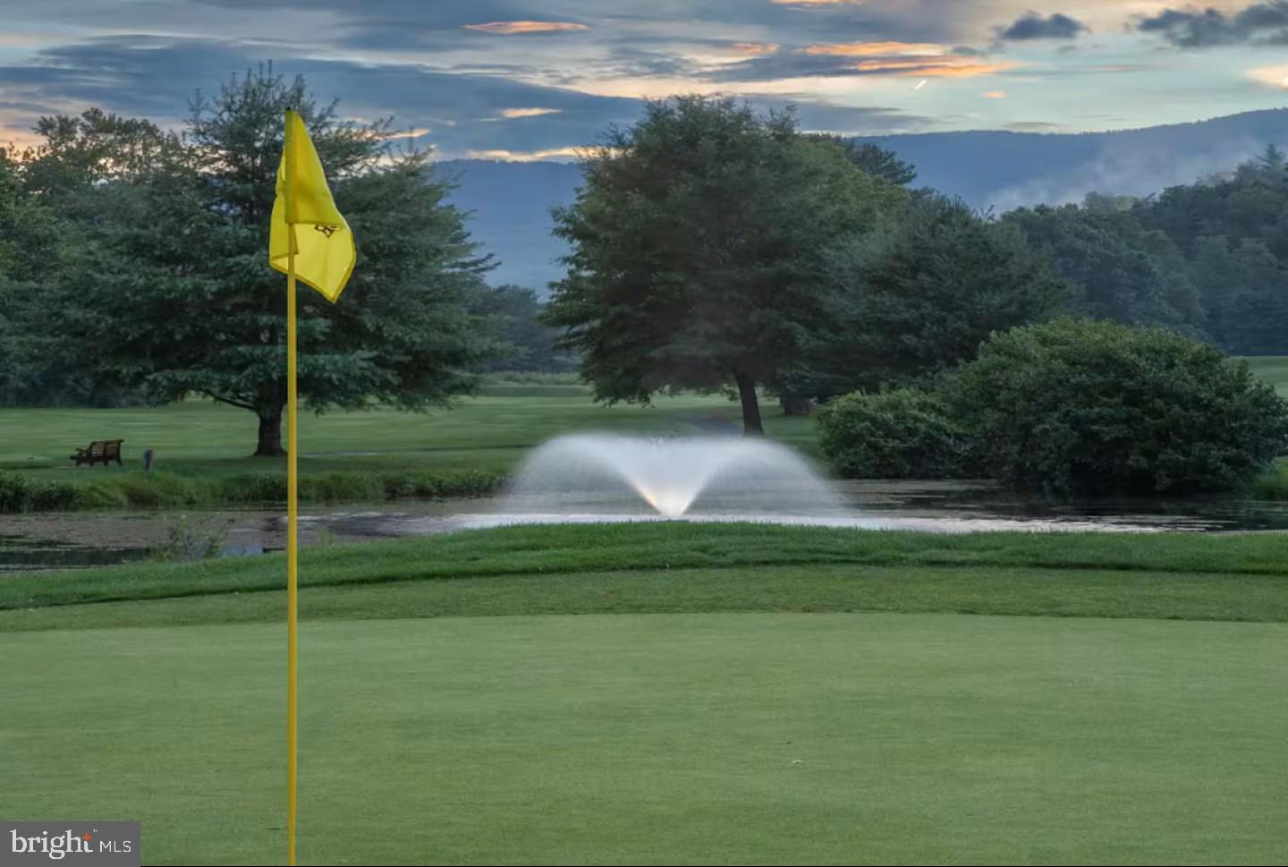 248 The Hill Road Basye, VA 22810 - Photo 19 of 21 a garden view