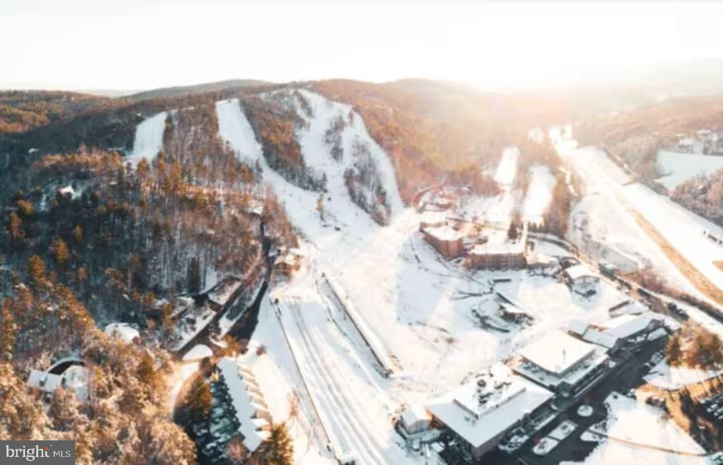 248 The Hill Road Basye, VA 22810 - Photo 20 of 21