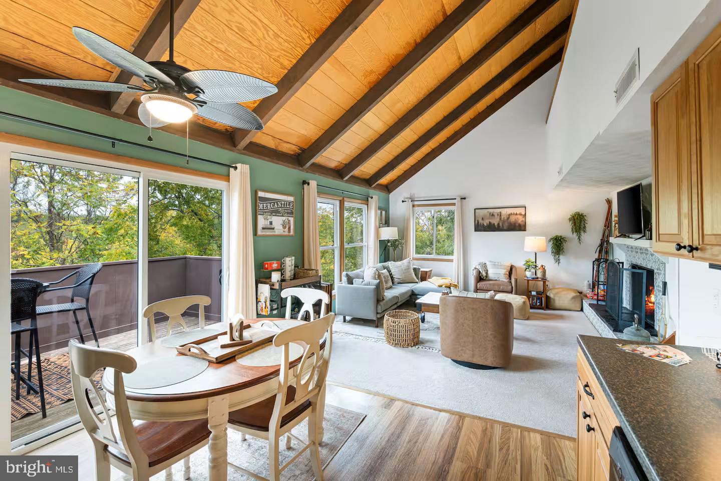 248 The Hill Road Basye, VA 22810 - Photo 4 of 21 a living room with furniture a fireplace and a flat screen tv