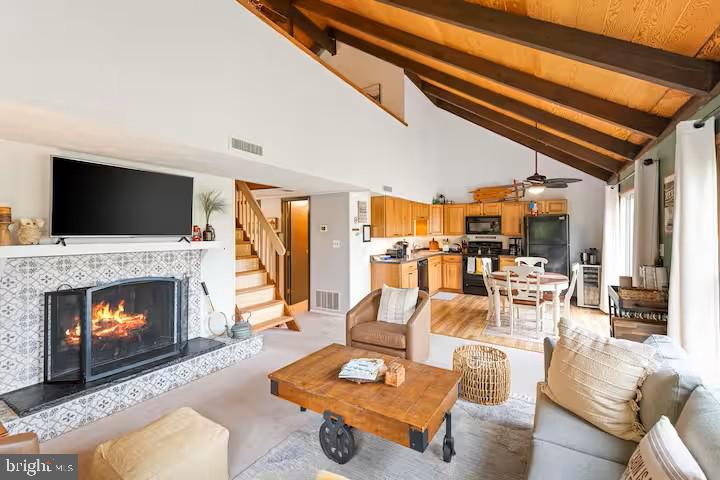 248 The Hill Road Basye, VA 22810 - Photo 5 of 21 a living room with furniture a fireplace and a flat screen tv