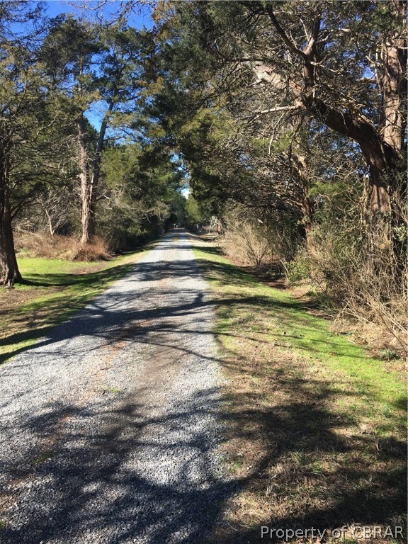 0 Hurst Neck Road Onemo, VA 23130 - Photo 11 of 12