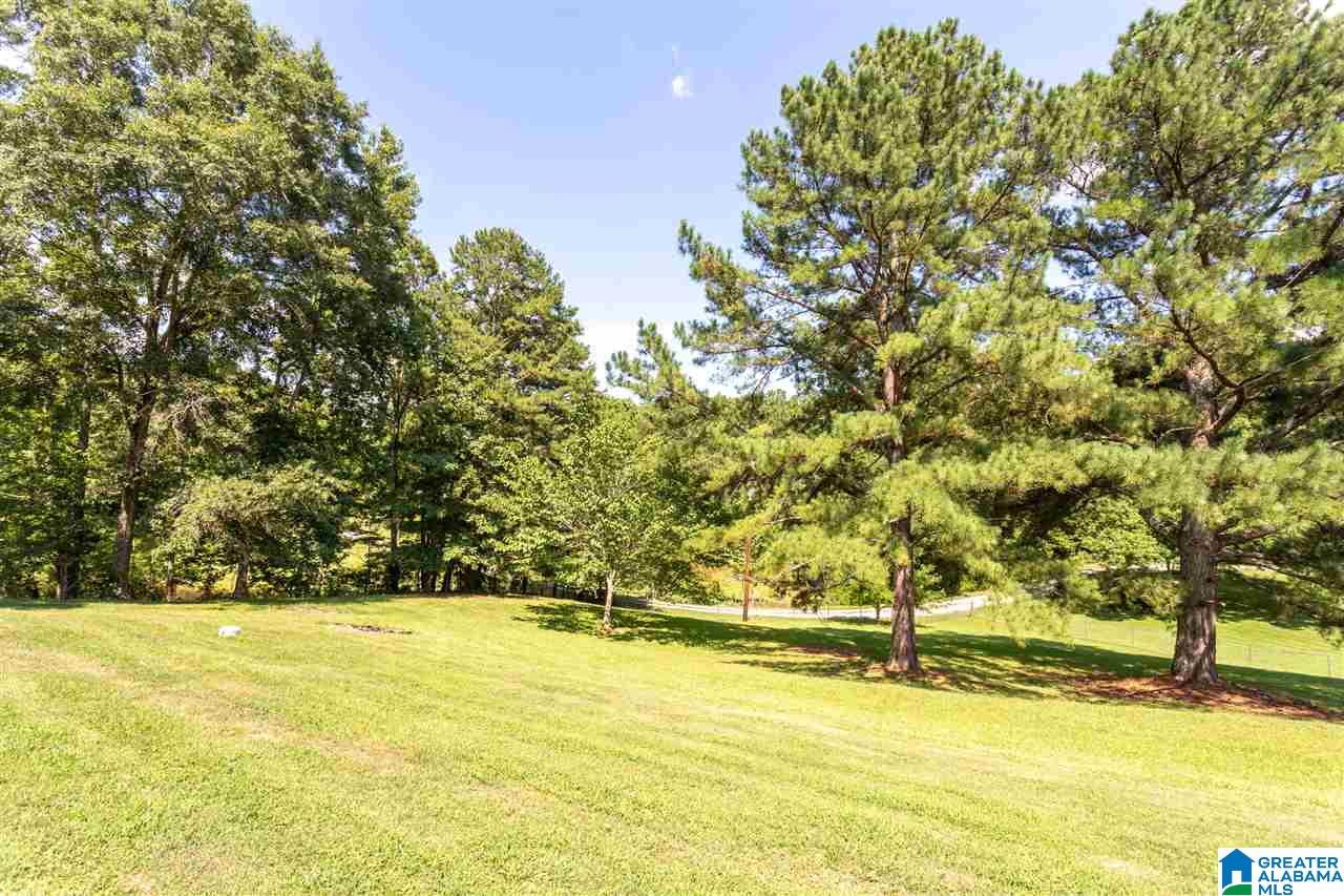 1322 James Taylor Road Moody, AL 35004 - Photo 49 of 50