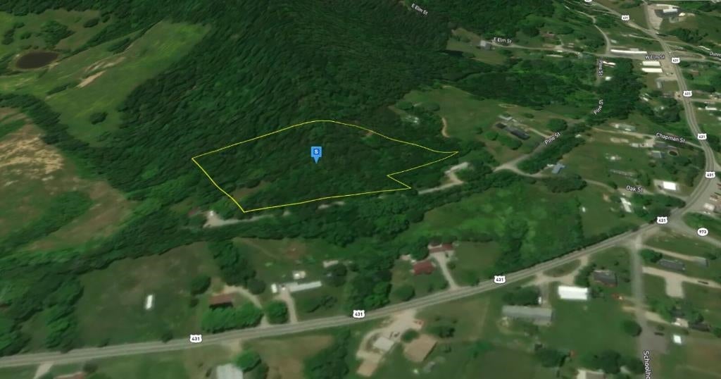 0 Pine Street Dunmor, KY 42339 - Photo 2 of 17 Gallery Image 2