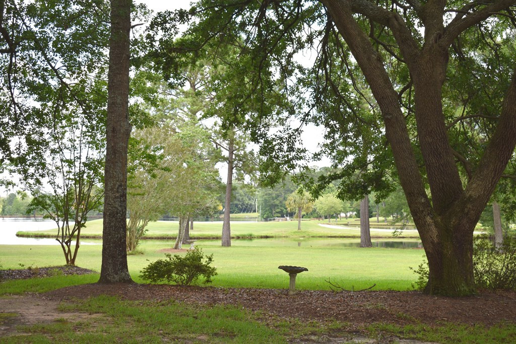 3265 Green View Parkway Sumter, SC 29150 - Photo 11 of 63