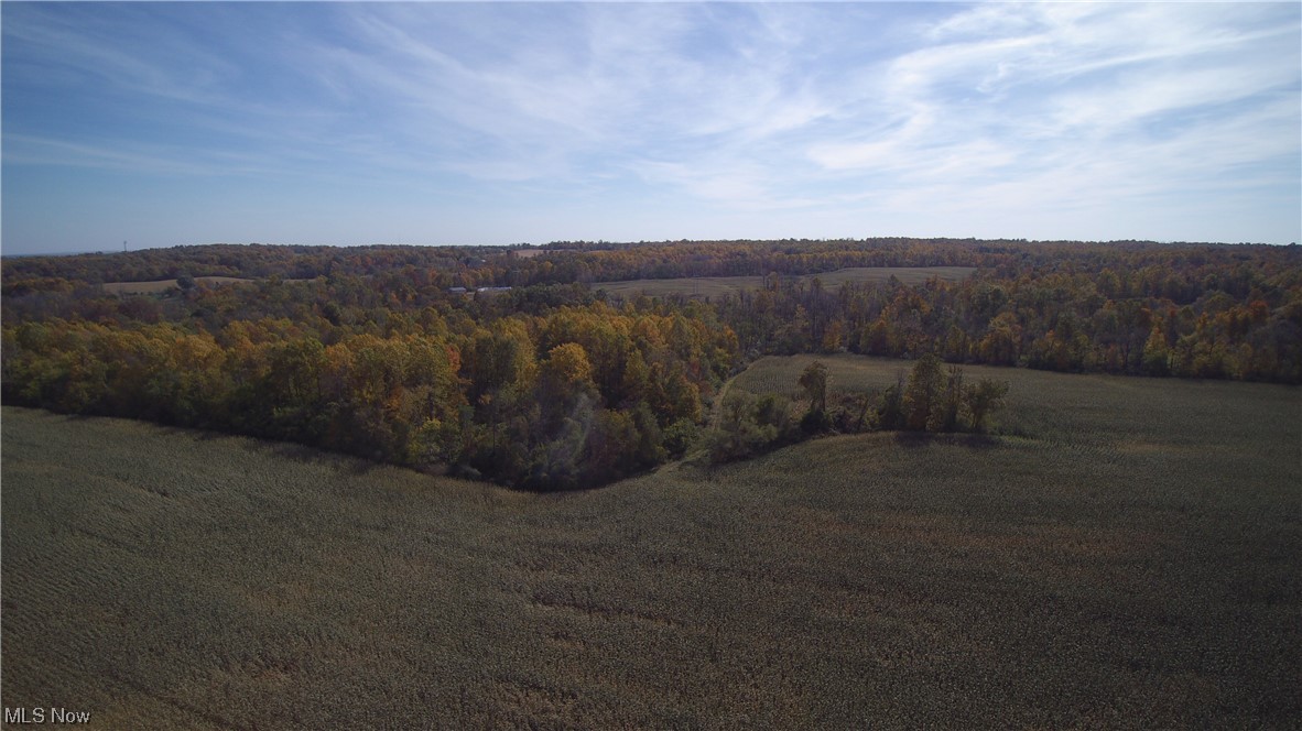 Blue Rd Mount Mount Vernon, OH 43050 - Photo 2 of 23 Gallery Image 2