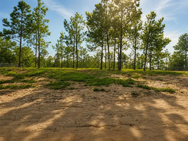 $36,000 | 23027 Martin Luther King Drive, State Line, MS 39362