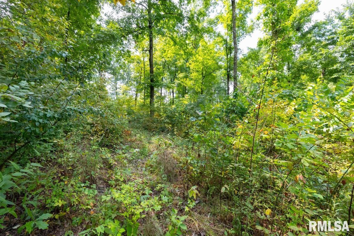 0 Hawkins Road Vienna, IL 62995 - Photo 29 of 36 Gallery Image 29