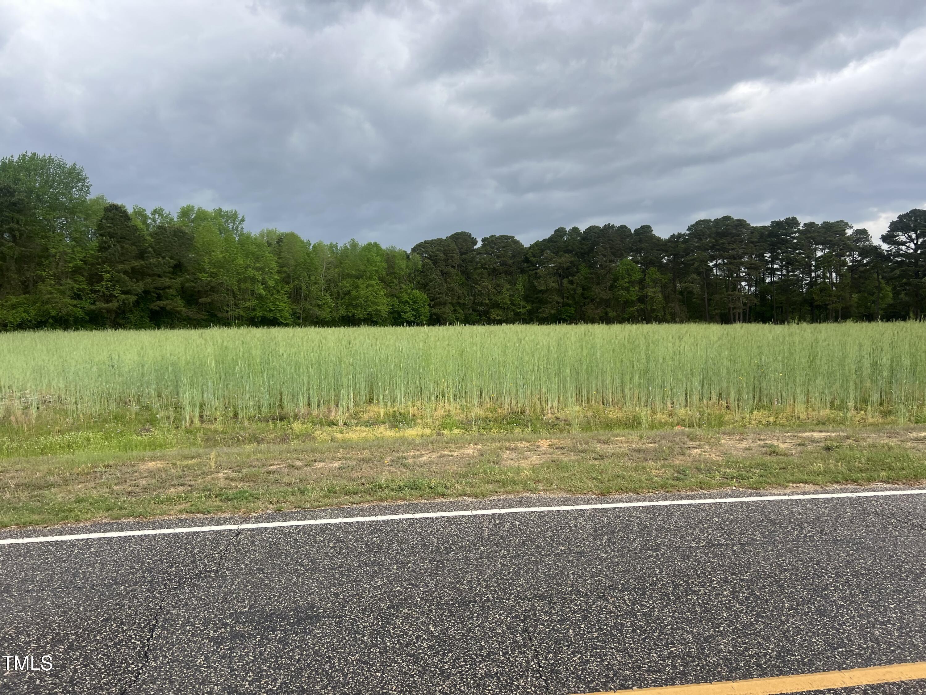 223 Partin Road Dunn, NC 28334 - Photo 2 of 5 a view of a big yard with a yard