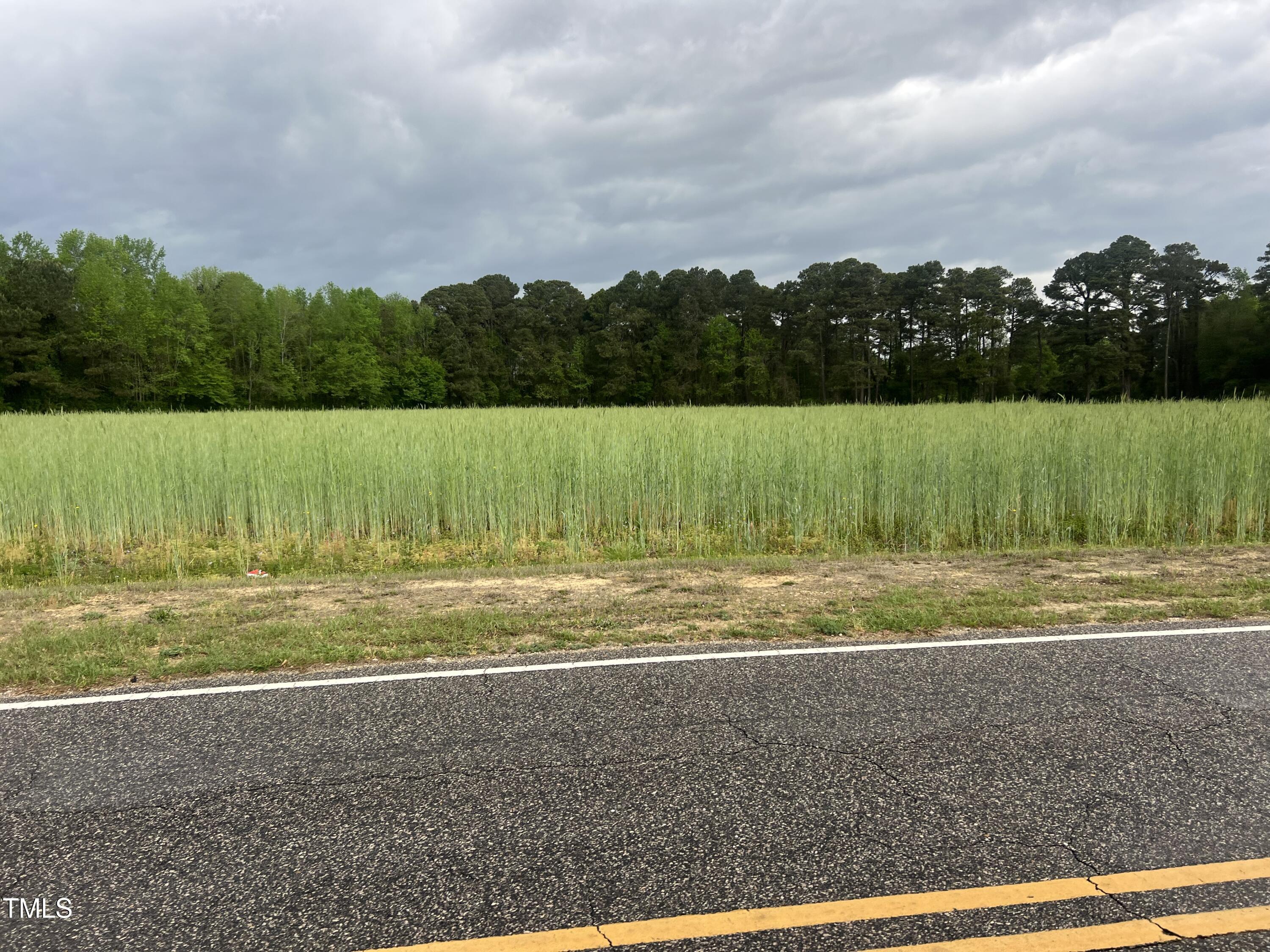 223 Partin Road Dunn, NC 28334 - Photo 3 of 5 a view of a yard
