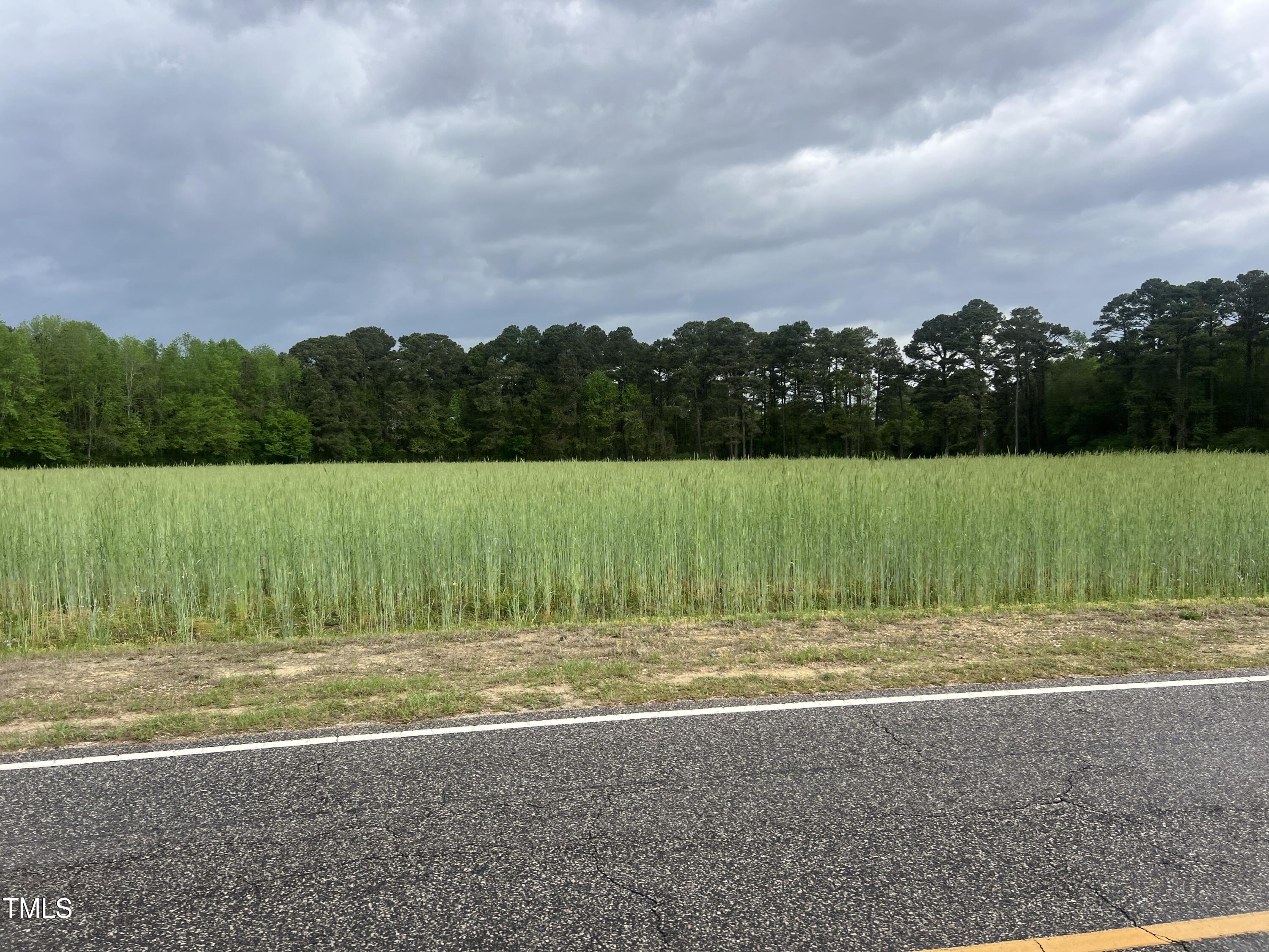 223 Partin Road Dunn, NC 28334 - Photo 4 of 5 a view of a field with a small yard