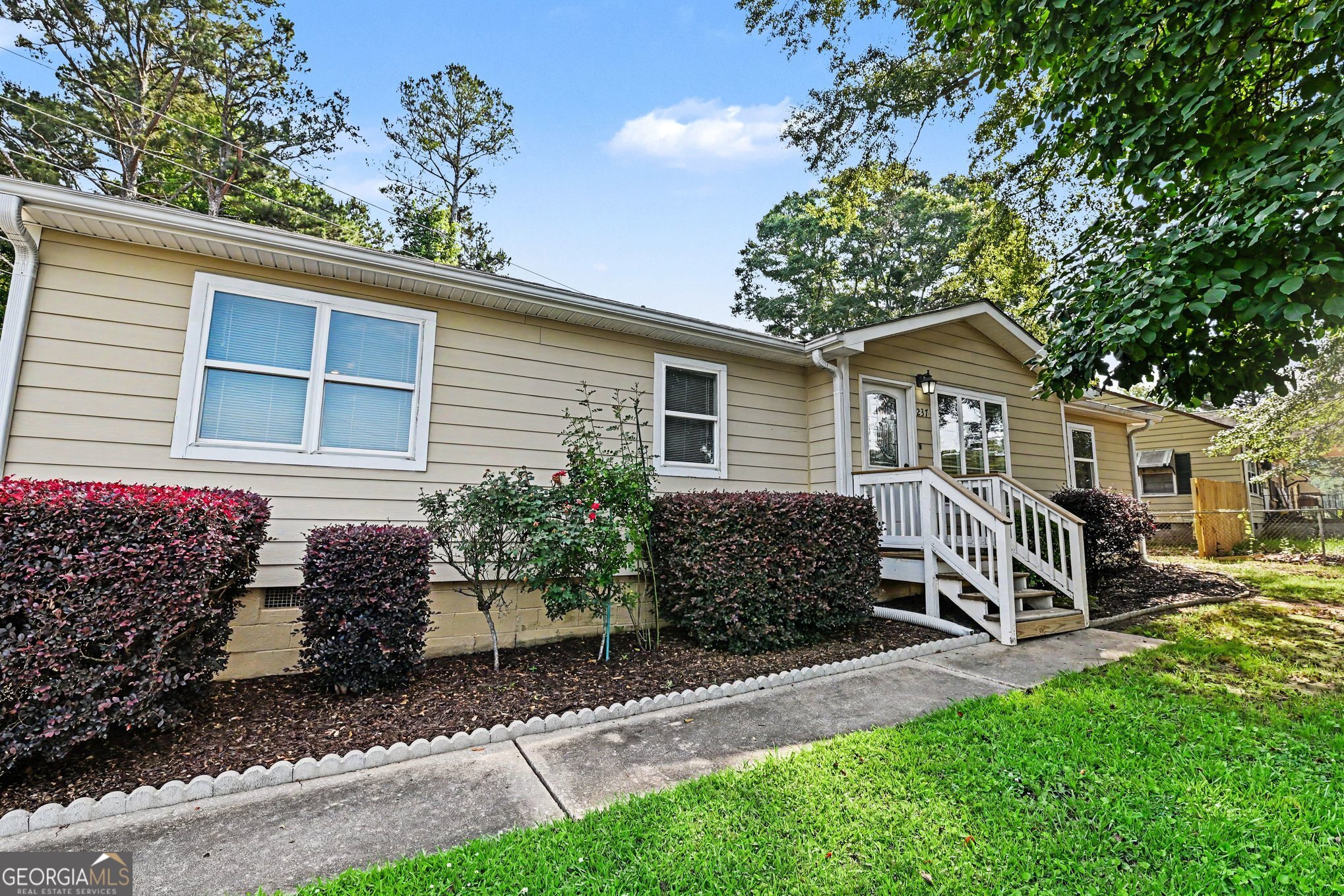 237 Palmetto Road Tyrone, GA 30290 - Photo 4 of 28