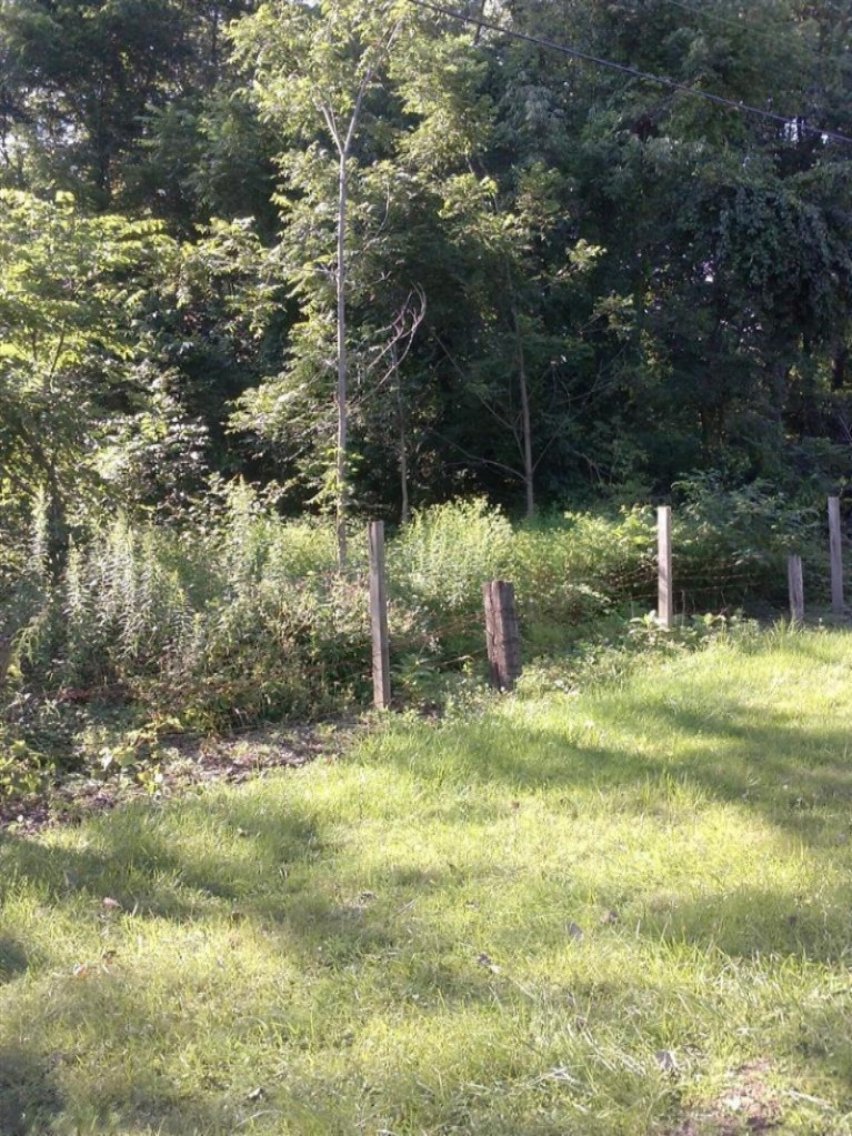 Adams Road Niles, MI 49120 - Photo 1 of 2 Primary Photo