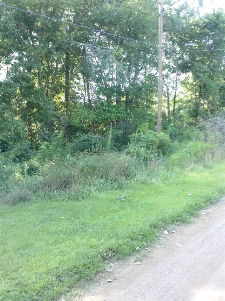 Adams Road Niles, MI 49120 - Photo 2 of 2 Additional Photo