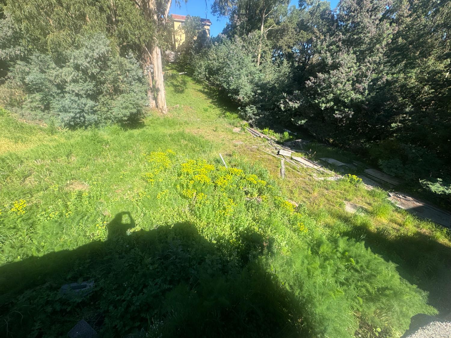 a view of yard with green space